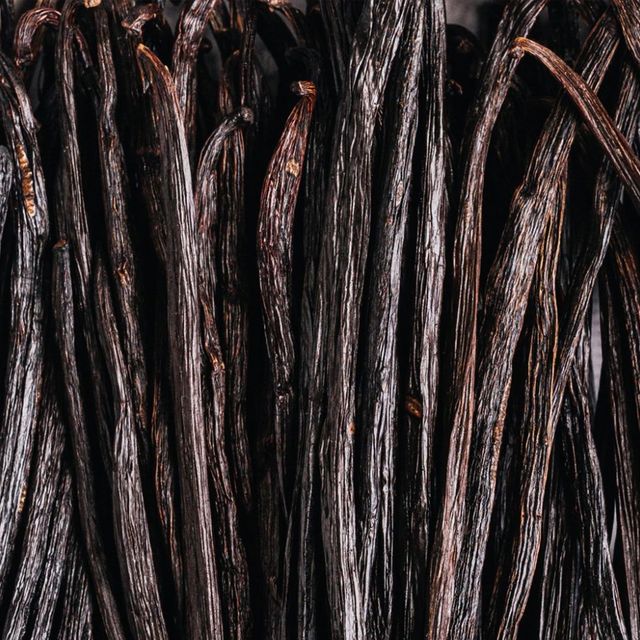 On That Note: The Scoop on How Vanilla is Used in Perfumery