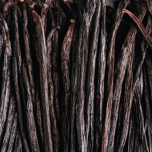 On That Note: The Scoop on How Vanilla is Used in Perfumery